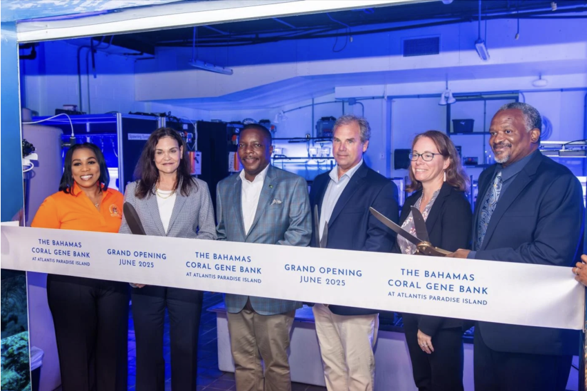 Bahamas opens first national coral gene bank to rescue endangered reefs